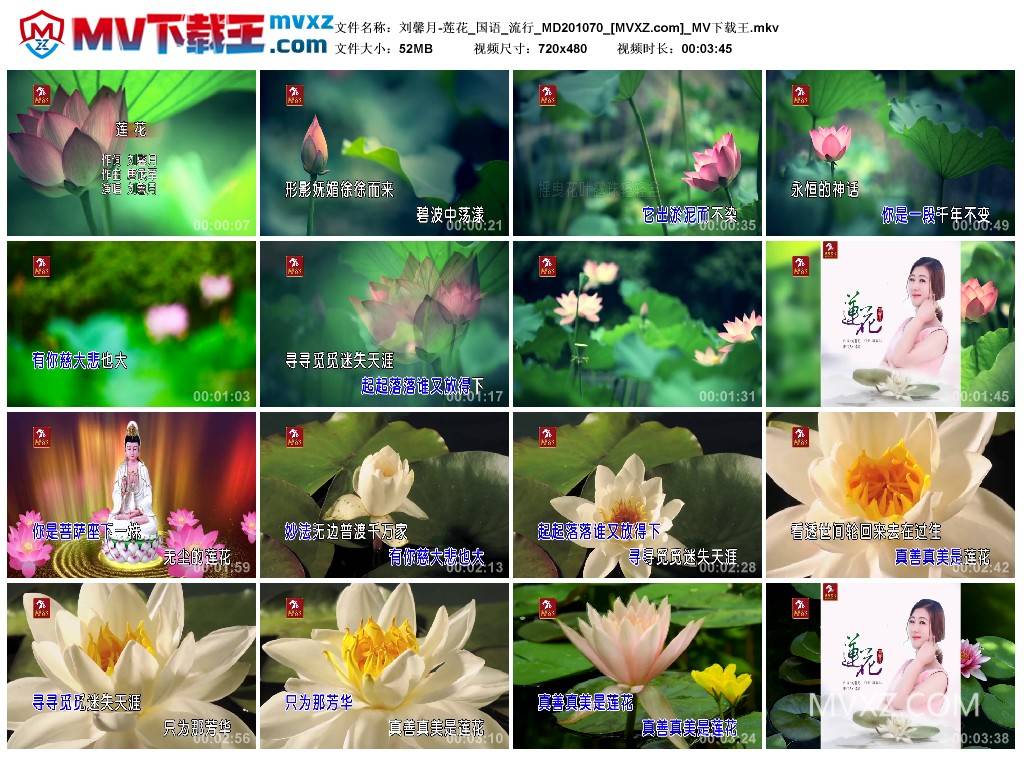 刘馨月-莲花_国语_流行_MD201070